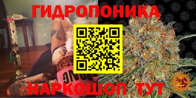 ECSTASY Кумертау