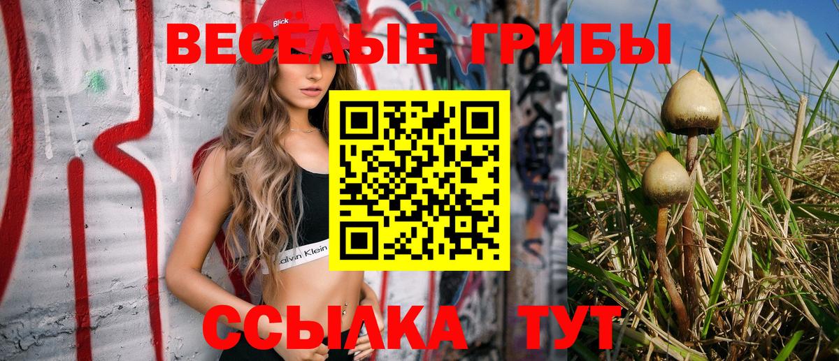 Десногорск  Галлюциногенные грибы MAGIC MUSHROOMS  Вход с VPN 